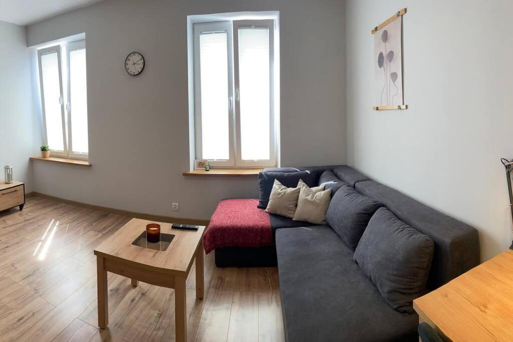 Apartment Gorna 33 Lodz (Lodz)